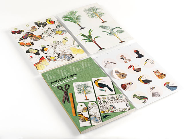 Papercraft Book Natural History