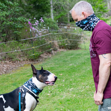 Pup Scruffs turns its dog apparel into masks